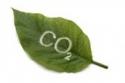 Revertia comenza o desenvolvemento do seu informe sobre la Pegada de Carbono Revertia comenza o desenvolvemento do seu informe sobre la Pegada de Carbono